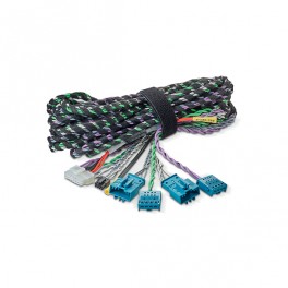 Focal BMW IMP2.1 HARNESS